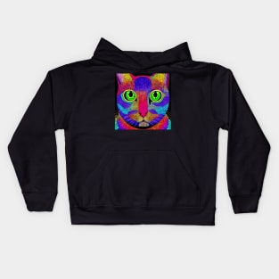 Rainbow Cat Kids Hoodie